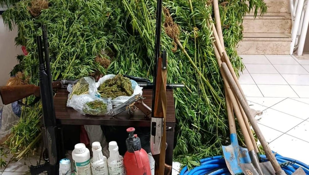 Ormanlık alanda Hint keneviri yetiştirdi, yakalandı