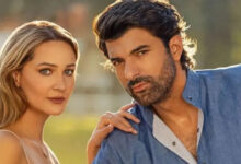 Bereketli Topraklar dizisi 5. bölümde final yapacak