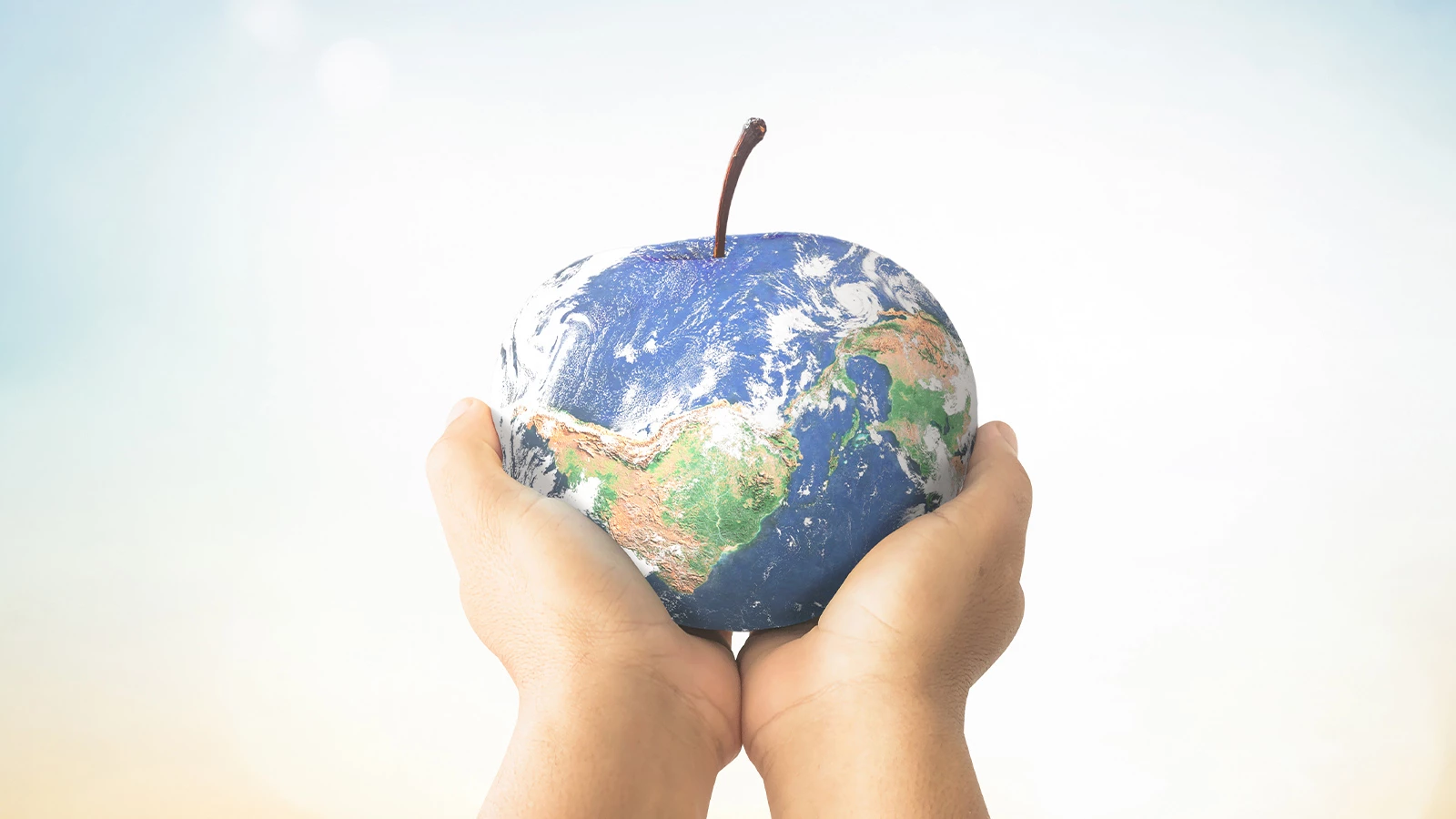 Yeni Gezegen Diyeti: Sağlık ve Sürdürülebilirlik İçin