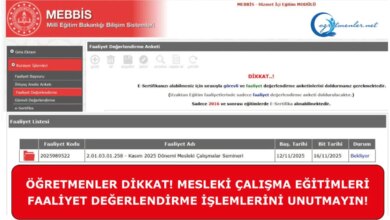 Öğretmenler için Faaliyet Değerlendirme Süreci